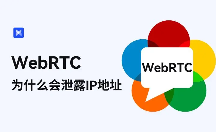 DNS 泄漏或 WebRTC 泄漏泄露真实位置／信息