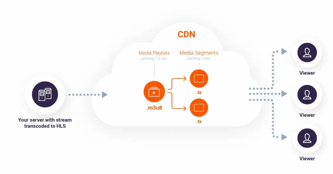播放平台与设备的协同表现